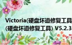 Victoria(硬盘坏道修复工具) V5.2.3 汉化绿色版（Victoria(硬盘坏道修复工具) V5.2.3 汉化绿色版功能简介）