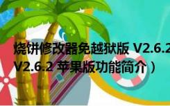 烧饼修改器免越狱版 V2.6.2 苹果版（烧饼修改器免越狱版 V2.6.2 苹果版功能简介）