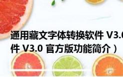 通用藏文字体转换软件 V3.0 官方版（通用藏文字体转换软件 V3.0 官方版功能简介）