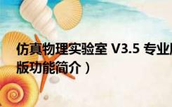 仿真物理实验室 V3.5 专业版（仿真物理实验室 V3.5 专业版功能简介）