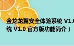 金龙龙翼安全体验系统 V1.0 官方版（金龙龙翼安全体验系统 V1.0 官方版功能简介）