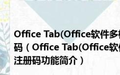 Office Tab(Office软件多标签浏览插件) V12 免费版含注册码（Office Tab(Office软件多标签浏览插件) V12 免费版含注册码功能简介）