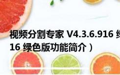 视频分割专家 V4.3.6.916 绿色版（视频分割专家 V4.3.6.916 绿色版功能简介）