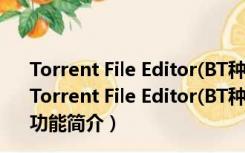 Torrent File Editor(BT种子编辑器) V0.3.16 32位绿色版（Torrent File Editor(BT种子编辑器) V0.3.16 32位绿色版功能简介）