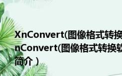 XnConvert(图像格式转换软件) x64 V1.75 绿色免费版（XnConvert(图像格式转换软件) x64 V1.75 绿色免费版功能简介）