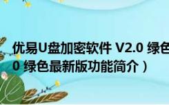 优易U盘加密软件 V2.0 绿色最新版（优易U盘加密软件 V2.0 绿色最新版功能简介）