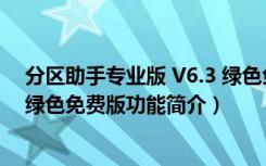 分区助手专业版 V6.3 绿色免费版（分区助手专业版 V6.3 绿色免费版功能简介）