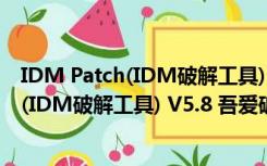 IDM Patch(IDM破解工具) V5.8 吾爱破解版（IDM Patch(IDM破解工具) V5.8 吾爱破解版功能简介）