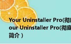 Your Uninstaller Pro(彻底卸载软件) V7.5 中文绿色版（Your Uninstaller Pro(彻底卸载软件) V7.5 中文绿色版功能简介）