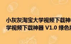 小灰灰淘宝大学视频下载神器 V1.0 绿色版（小灰灰淘宝大学视频下载神器 V1.0 绿色版功能简介）