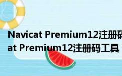 Navicat Premium12注册码工具 V1.0 绿色免费版（Navicat Premium12注册码工具 V1.0 绿色免费版功能简介）