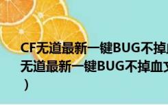 CF无道最新一键BUG不掉血文件 beta26 绿色免费版（CF无道最新一键BUG不掉血文件 beta26 绿色免费版功能简介）