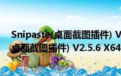 Snipaste(桌面截图插件) V2.5.6 X64 官方版（Snipaste(桌面截图插件) V2.5.6 X64 官方版功能简介）