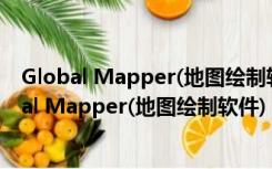 Global Mapper(地图绘制软件) V20.2 最新中文版（Global Mapper(地图绘制软件) V20.2 最新中文版功能简介）