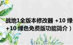 战地1全版本修改器 +10 绿色免费版（战地1全版本修改器 +10 绿色免费版功能简介）