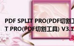 PDF SPLIT PRO(PDF切割工具) V3.1.1 官方版（PDF SPLIT PRO(PDF切割工具) V3.1.1 官方版功能简介）