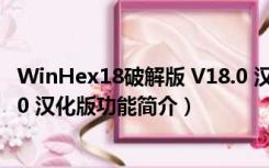 WinHex18破解版 V18.0 汉化版（WinHex18破解版 V18.0 汉化版功能简介）