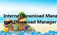 Internet Download Manager V6.39.8 破解免费版（Internet Download Manager V6.39.8 破解免费版功能简介）