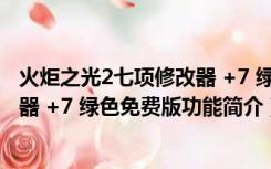 火炬之光2七项修改器 +7 绿色免费版（火炬之光2七项修改器 +7 绿色免费版功能简介）