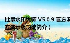 批量水印大师 V5.0.9 官方演示版（批量水印大师 V5.0.9 官方演示版功能简介）