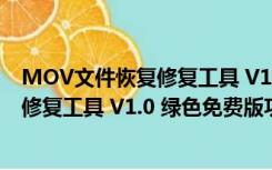 MOV文件恢复修复工具 V1.0 绿色免费版（MOV文件恢复修复工具 V1.0 绿色免费版功能简介）