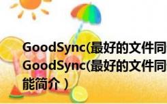 GoodSync(最好的文件同步软件) V12.0.5.5 多语官方版（GoodSync(最好的文件同步软件) V12.0.5.5 多语官方版功能简介）