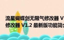 流星蝴蝶剑无限气修改器 V1.2 最新版（流星蝴蝶剑无限气修改器 V1.2 最新版功能简介）