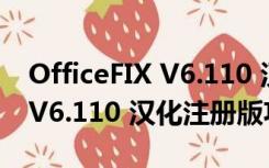 OfficeFIX V6.110 汉化注册版（OfficeFIX V6.110 汉化注册版功能简介）