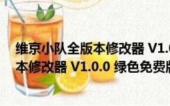 维京小队全版本修改器 V1.0.0 绿色免费版（维京小队全版本修改器 V1.0.0 绿色免费版功能简介）