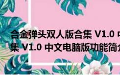 合金弹头双人版合集 V1.0 中文电脑版（合金弹头双人版合集 V1.0 中文电脑版功能简介）