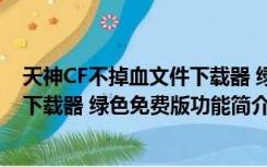 天神CF不掉血文件下载器 绿色免费版（天神CF不掉血文件下载器 绿色免费版功能简介）