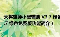 天将雄师小黑辅助 V3.7 绿色免费版（天将雄师小黑辅助 V3.7 绿色免费版功能简介）