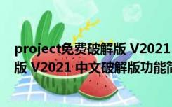 project免费破解版 V2021 中文破解版（project免费破解版 V2021 中文破解版功能简介）