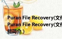 Puran File Recovery(文件恢复软件免费版) V1.2 官方版（Puran File Recovery(文件恢复软件免费版) V1.2 官方版功能简介）