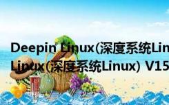 Deepin Linux(深度系统Linux) V15.7 官方老版（Deepin Linux(深度系统Linux) V15.7 官方老版功能简介）