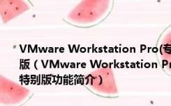 VMware Workstation Pro(专业虚拟机软件) V12.5.6 绿色精简特别版（VMware Workstation Pro(专业虚拟机软件) V12.5.6 绿色精简特别版功能简介）