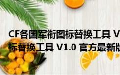 CF各国军衔图标替换工具 V1.0 官方最新版（CF各国军衔图标替换工具 V1.0 官方最新版功能简介）