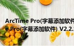 ArcTime Pro(字幕添加软件) V2.2.1 绿色免费版（ArcTime Pro(字幕添加软件) V2.2.1 绿色免费版功能简介）