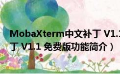 MobaXterm中文补丁 V1.1 免费版（MobaXterm中文补丁 V1.1 免费版功能简介）