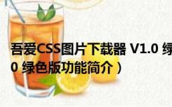 吾爱CSS图片下载器 V1.0 绿色版（吾爱CSS图片下载器 V1.0 绿色版功能简介）