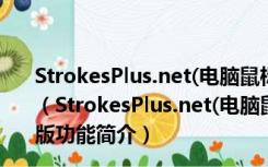 StrokesPlus.net(电脑鼠标手势软件) V0.3.8.9 绿色便携版（StrokesPlus.net(电脑鼠标手势软件) V0.3.8.9 绿色便携版功能简介）