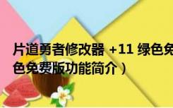 片道勇者修改器 +11 绿色免费版（片道勇者修改器 +11 绿色免费版功能简介）