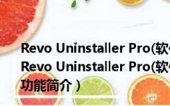 Revo Uninstaller Pro(软件卸载工具) V4.1.0 官方多语版（Revo Uninstaller Pro(软件卸载工具) V4.1.0 官方多语版功能简介）