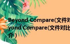 Beyond Compare(文件对比工具) V4.1.5 最新免费版（Beyond Compare(文件对比工具) V4.1.5 最新免费版功能简介）