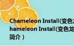 Chameleon Install(变色龙安装程序) V2.2 简体中文版（Chameleon Install(变色龙安装程序) V2.2 简体中文版功能简介）