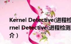 Kernel Detective(进程检测工具) V1.4.1 绿色免费版（Kernel Detective(进程检测工具) V1.4.1 绿色免费版功能简介）