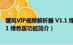 暖风VIP视频解析器 V1.1 绿色版（暖风VIP视频解析器 V1.1 绿色版功能简介）