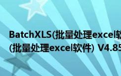 BatchXLS(批量处理excel软件) V4.85 官方版（BatchXLS(批量处理excel软件) V4.85 官方版功能简介）