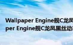 Wallpaper Engine舰C龙凤黑丝动态壁纸 免费版（Wallpaper Engine舰C龙凤黑丝动态壁纸 免费版功能简介）