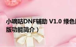 小嘀咕DNF辅助 V1.0 绿色版（小嘀咕DNF辅助 V1.0 绿色版功能简介）